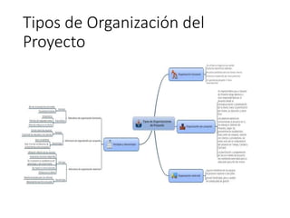 Tipos de Organización del
Proyecto
 