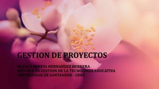 GESTION DE PROYECTOS
BLANCA MIREYA HERNANDEZ HERRERA
MESTRIA EN GESTION DE LA TECNOLOGIA EDUCATIVA
UNIVERSIDAD DE SANTANDER - UDES
 