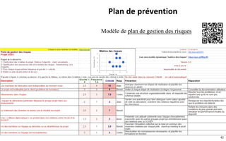 45
Plan de prévention
Modèle de plan de gestion des risques
 