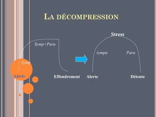 Alerte Effondrement
Symp
Symp+Para
Alerte
sympa
Détente
Para
Stress
LA DÉCOMPRESSION
 