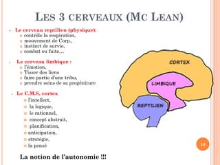 LES 3 CERVEAUX (MC LEAN)
10
 Le cerveau reptilien (physique):
 contrôle la respiration,
 mouvement de Corp.,
 instinct de survie,
 combat ou fuite…
 Le cerveau limbique :
 l’émotion,
 Tisser des liens
 faire partie d’une tribu,
 prendre soins de sa progéniture
 Le C.M.S, cortex
 l’intellect,
 la logique,
 le rationnel,
 concept abstrait,
 planification,
 anticipation,
 stratégie,
 la pensé
La notion de l’autonomie !!!
 