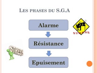 LES PHASES DU S.G.A
Alarme
Résistance
Epuisement
 