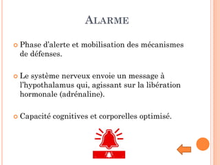 ALARME
 Phase d’alerte et mobilisation des mécanismes
de défenses.
 Le système nerveux envoie un message à
l’hypothalamus qui, agissant sur la libération
hormonale (adrénaline).
 Capacité cognitives et corporelles optimisé.
 