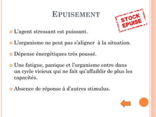 EPUISEMENT
 L’agent stressant est puissant.
 L’organisme ne peut pas s’aligner à la situation.
 Dépense énergétiques très poussé.
 Une fatigue, panique et l’organisme entre dans
un cycle vicieux qui ne fait qu’affaiblir de plus les
capacités.
 Absence de réponse à d’autres stimulus.
 