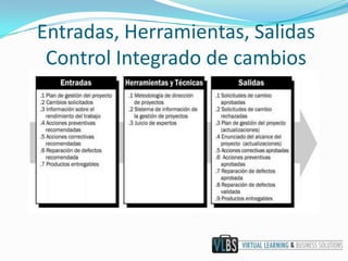 Entradas, Herramientas, SalidasControl Integrado de cambios
