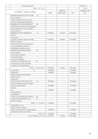 Entreprise industrielle                                                                     Tableau n° 1
                                              BILAN        AU 31/12/                                                     ACTIF
                                                                                        EXERCICE                    EXERCICE PRE
       LES COMPTES ( MODELE NORMAL )
                                                                          BRU T        AMORT/PROV        NET              NET
IMMOBILISATIONS EN NON VALEURS                       (A)                       -              -              -
Frais préliminaires                                                            -              -              -
Charges à répartir sur plusieurs exercices                                     -              -              -
Primes de remboursement des obligations                                        -               -               -
IMMOBILISATIONS INCO RPORELLES                      (B)                        -              -              -
Immobilisations en recherche et développement                                  -               -               -
Brevets,marques,droits et valeurs similaires                                   -              -              -
Fonds commercial                                                               -               -               -
IMMOBILISATIONS CORPORELLES                          (C)               1 330 000,00      37 500,00   1 292 500,00
Terrains                                                                       -               -               -
Constructions                                                                  -               -               -
Installations techniques matériel et outillage                         1 330 000,00      37 500,00   1 292 500,00
Matériel de transport                                                          -              -              -
Mobilier,matériel de bureau et amenag div.                                     -               -               -
Autres immobilisations corporelles                                              -              -               -
Immobilisations corporelles en cours                                           -               -               -
IMM OBILISATIONS FINANCIERES                        (D)                        -              -              -
Prêts immobilisés                                                              -              -              -
Autres créances financières                                                    -              -              -
Titres de participation                                                        -              -              -
Autres titres immobilisés                                                          -           -               -
ECARTS DE CONVERSIO N-ACTIF                         (E)                        -
Diminutions des créances immobilisés                                           -                               -
Augmentations des dettes financières                                           -                             -
                                       TOTAL I (A+B+C+D+E)             1 330 000,00      37 500,00   1 292 500,00
LES STOCKS                                    (F)                       550 000,00             -      550 000,00
Marchandises                                                            550 000,00             -      550 000,00
Matières et fournitures consommables                                           -              -              -
Produits en cours                                                              -              -              -
Produits finis                                                                 -              -                -
CREANCES DE L'ACTIF CIRCULANT                       (G)                 591 400,00             -      591 400,00
Fournisseurs débiteurs avances et acomptes                                     -              -              -
Clients et comptes rattachés                                            432 000,00             -      432 000,00
Personnel                                                                      -               -               -
Etat                                                                    159 400,00                    159 400,00
Comptes d'associés                                                             -              -              -
Autres débiteurs                                                               -              -              -
TITRES ET VALEURS DE PLACEMENT                      (H)                        -              -              -
ECARTS DE CONVERSIO N-ACTIF                         (I)                        -                             -
(Eléments circulants)
                                         TOTAL II          (F+G+H+I)   1 141 400,00            -     1 141 400,00
TRESORERIE - ACTIF
Chèques et valeurs à encaisser                                                 -                             -
Banque, Trésorerie générale et chèques postaux                          252 600,00                    252 600,00
Caisse,Régies d'avances et accréditifs                                         -                               -
                                                          TOTAL III     252 600,00                    252 600,00
                                    TOTAL GENERAL I + II + III         2 724 000,00      37 500,00   2 686 500,00            -




                                                                                                                                   51
 