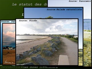 La gestion des dunes littorales atlantiques