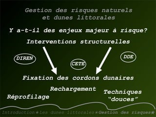 La gestion des dunes littorales atlantiques