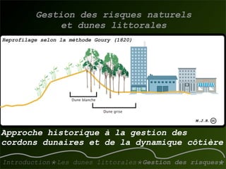 La gestion des dunes littorales atlantiques
