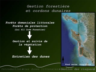 La gestion des dunes littorales atlantiques