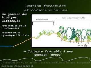 La gestion des dunes littorales atlantiques