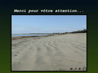 La gestion des dunes littorales atlantiques