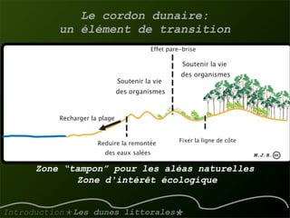 La gestion des dunes littorales atlantiques