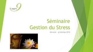 Séminaire
Gestion du Stress
Alicante – printemps 2014

 