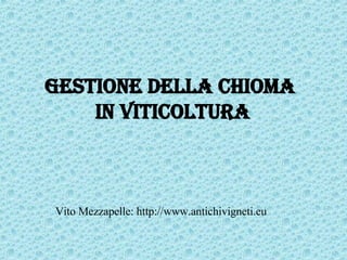 Gestione della chioma in viticoltura Vito Mezzapelle: http://www.antichivigneti.eu 