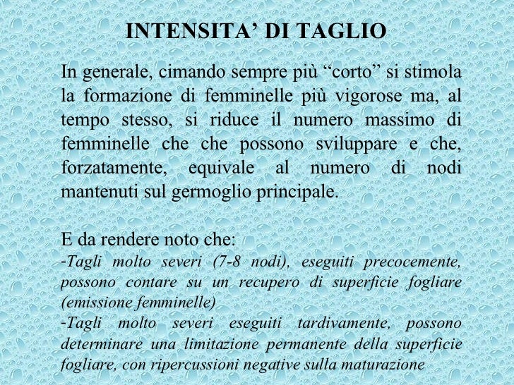 La lista di farmaci allatto di cura di emorroidi