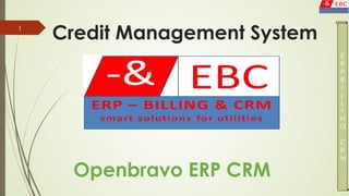 Credit Management System1
E
R
P
B
I
L
L
I
N
G
C
R
M
Openbravo ERP CRM
 