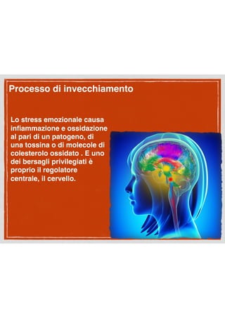 Processo di invecchiamento  
Lo stress emozionale causa
inﬁammazione e ossidazione
al pari di un patogeno, di
una tossina o di molecole di
colesterolo ossidato . E uno
dei bersagli privilegiati è
proprio il regolatore
centrale, il cervello.
 