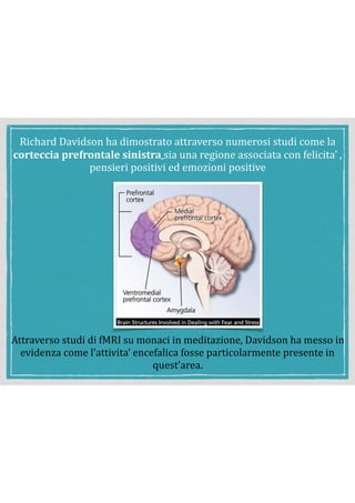 Richard	Davidson	ha	dimostrato	attraverso	numerosi	studi	come	la	
corteccia	prefrontale	sinistra	sia	una	regione	associata	con	felicita’	,	
pensieri	positivi	ed	emozioni	positive	
Attraverso	studi	di	fMRI	su	monaci	in	meditazione,	Davidson	ha	messo	in	
evidenza	come	l’attivita’	encefalica	fosse	particolarmente	presente	in	
quest’area.	
 