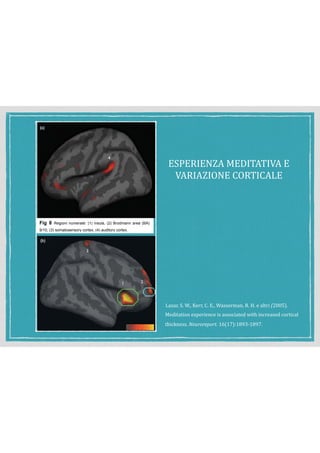 !
Fig 8 Regioni numerate: (1) insula, (2) Brodmann area (BA)
9/10, (3) somatosensory cortex, (4) auditory cortex.
!
!
ESPERIENZA	MEDITATIVA	E	
VARIAZIONE	CORTICALE	
	 Lazar,	S.	W.,	Kerr,	C.	E.,	Wasserman,	R.	H.	e	altri	(2005).	
Meditation	experience	is	associated	with	increased	cortical	
thickness.	Neuroreport.	16(17):1893-1897.	
 