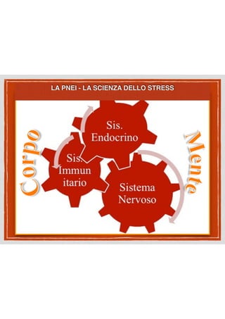 LA PNEI - LA SCIENZA DELLO STRESS 
 
