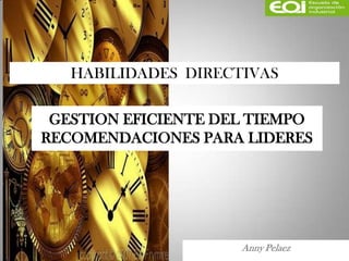 HABILIDADES DIRECTIVAS

 GESTION EFICIENTE DEL TIEMPO
RECOMENDACIONES PARA LIDERES




                     Anny Pelaez
 