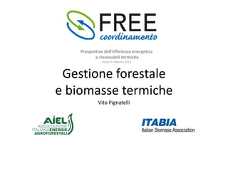 Prospettive dell’efficienza energetica
           e rinnovabili termiche
               Roma 7 Febbraio 2013



 Gestione forestale
e biomasse termiche
             Vito Pignatelli
 