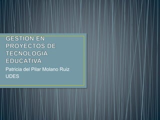 Patricia del Pilar Molano Ruiz
UDES
 