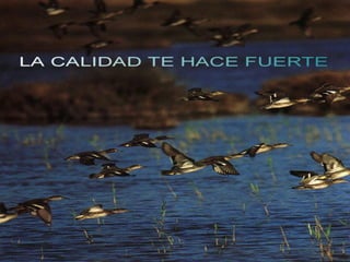 Gestion en salud   clase32010