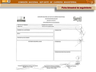 COMISIÓN NACIONAL SEP-SNTE DE CARRERA MAGISTERIAL   15
 