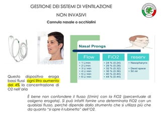 12 L Fio2 Gestione sistemi niv | PDF