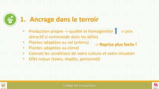 Collège des Producteurs
1. Ancrage dans le terroir
• Production propre -> qualité et homogénéité -> prix
attractif si commande dans les délais
• Plantes adaptées au sol (arbres)
• Plantes adaptées au climat
• Connait les conditions de votre culture et votre situation
• Effet retour (taxes, impôts, personnel)
-> Reprise plus facile !
10
 