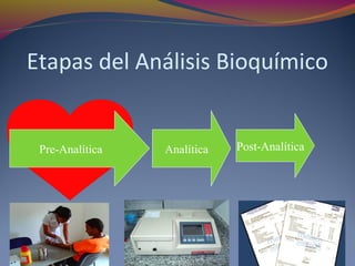 Etapas del Análisis Bioquímico
Analítica Post-AnalíticaPre-Analítica
 