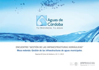 ENCUENTRO “GESTIÓN DE LAS INFRAESTRUCTURAS HIDRÁULICAS”
Mesa redonda: Gestión de las infraestructuras de aguas municipales
Organiza El Correo de Andalucía. 22 / 1 / 2015
 