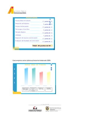 Caso empresa sector plásticos/industrial elaborado 2009:
 