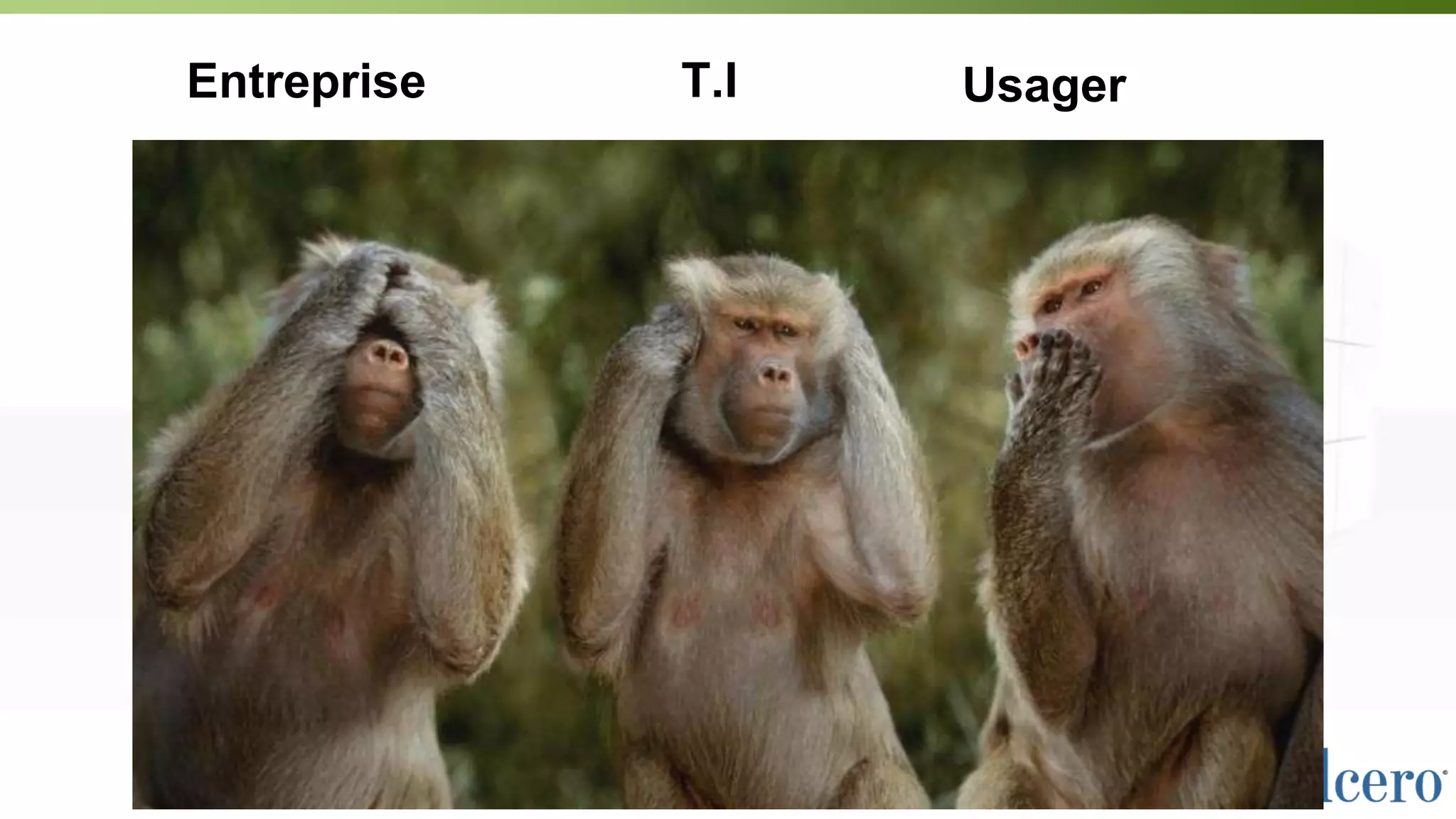 Entreprise T.I Usager
 