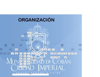 ORGANIZACIÓN

 