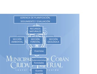 GERENCIA DE PLANIFICACIÓN, 
SEGUIMIENTO Y EVALUACIÓN
RECURSOS 
NATURALES
SECCIÓN 
AMBIENTAL

SECCIÓN 
FORESTAL

Viveristas

Extensionistas 
Extensionistas
Forestales
Guarda 
d

SECCIÓN 
GEOLÓGICA

 