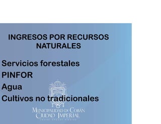 INGRESOS POR RECURSOS
NATURALES

Servicios forestales
PINFOR
Agua
Cultivos no tradicionales

 