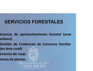 SERVICIOS FORESTALES

Licencia de aprovechamiento forestal (area
)
urbana)
Gestión de Credencial de Consumo familiar
(en área rural)
Licencia de rozas
Venta d plantas
de l

 