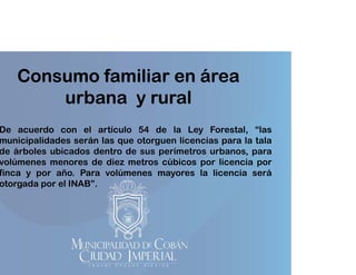 Consumo familiar en área
urbana y rural

De acuerdo con el artículo 54 de la Ley Forestal, “las
municipalidades serán las que otorguen licencias para la tala
de árboles ubicados dentro de sus perímetros urbanos, para
p
,p
volúmenes menores de diez metros cúbicos por licencia por
finca y por año. Para volúmenes mayores la licencia será
otorgada por el INAB”.

 