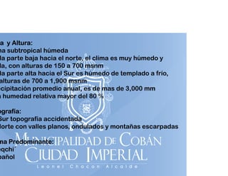 a y Altura:
na subtropical húmeda
la parte baja hacia el norte, el clima es muy húmedo y
da, con alturas de 150 a 700 msnm
la parte alta hacia el Sur es húmedo de templado a frío,
alturas de 700 a 1,900 msnm
ecipitación promedio anual, es de mas de 3,000 mm
a humedad relativa mayor del 80 %
y

ografía:
Sur topografía accidentada
p g
Norte con valles planos, ondulados y montañas escarpadas

ma Predominante:
eqchi´
pañol

 