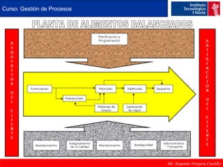 Curso: Gestión de Procesos 
Ms. Segundo Vergara Castillo 
 