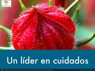 Photo by deltafrut - Creative Commons Attribution License https://www.flickr.com/photos/55953988@N00	
   Created with Haiku Deck	
  
 