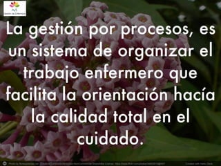 Photo by floresyplantas.net - Creative Commons Attribution-NonCommercial-ShareAlike License https://www.flickr.com/photos/34602815@N07	
   Created with Haiku Deck	
  
 