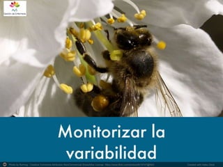 Photo by fturmog - Creative Commons Attribution-NonCommercial-ShareAlike License https://www.flickr.com/photos/9016747@N03	
   Created with Haiku Deck	
  
 