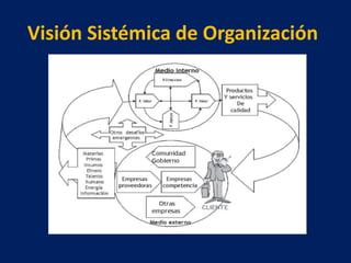 Visión Sistémica de Organización
 