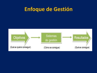 Enfoque de Gestión
 