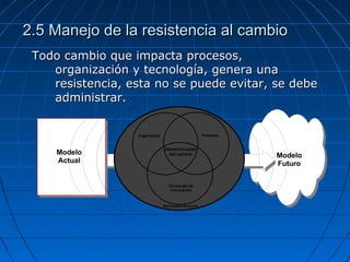 2.5 Manejo de la resistencia al cambio2.5 Manejo de la resistencia al cambio
Todo cambio que impacta procesos,Todo cambio que impacta procesos,
organización y tecnología, genera unaorganización y tecnología, genera una
resistencia, esta no se puede evitar, se deberesistencia, esta no se puede evitar, se debe
administrar.administrar.
Tecnología de
Información
Procesos
Administración
del cambio
Marketplace Structure
Organizació
Modelo
Actual
Modelo
Futuro
 