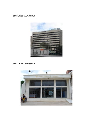 SECTORES EDUCATIVOS

SECTORES LABORALES

 